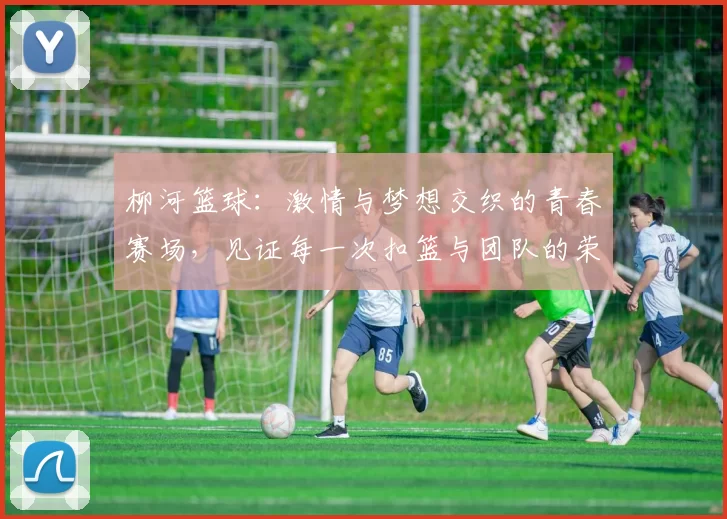柳河篮球：激情与梦想交织的青春赛场，见证每一次扣篮与团队的荣耀