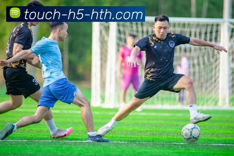 华体会体育服务体系